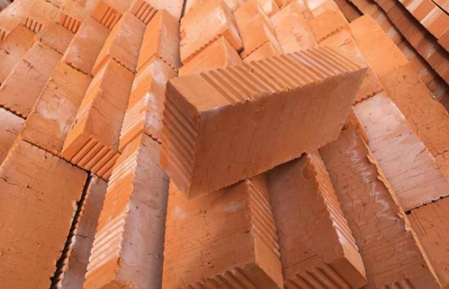 Кирпичи для строительства бани с барбекю Кирпичи для бани