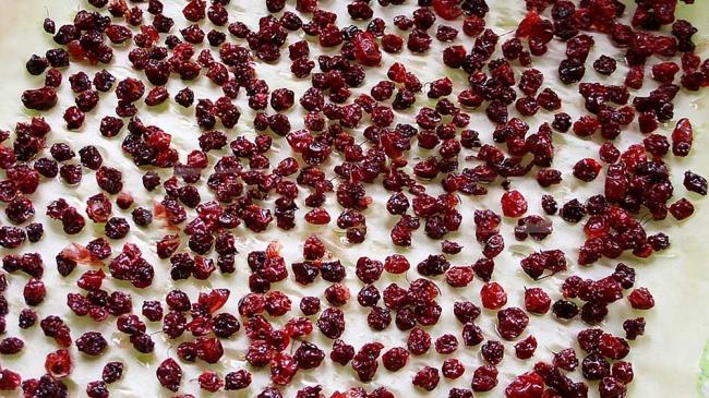 Вяление клюквы в духовке Клюква в духовке