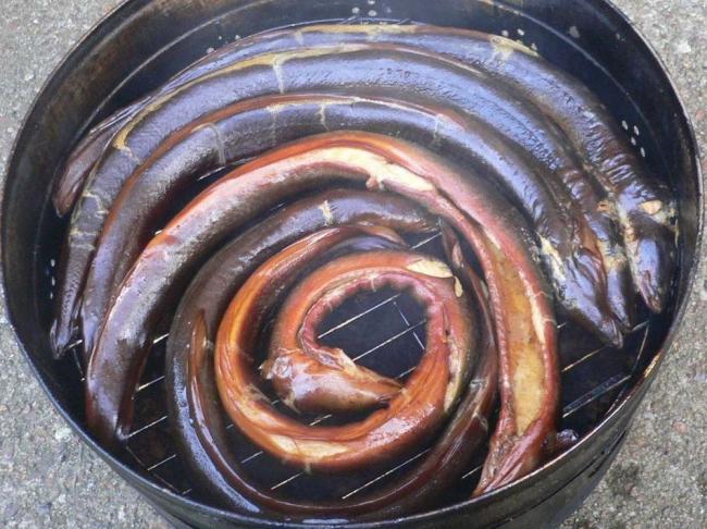 Копчение угрей на фруктовой щепе  Копчение угря на щепе
