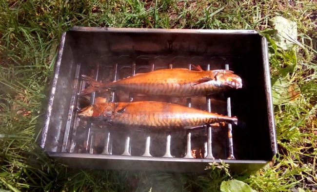 Рыба в коптильне горячего копчения Коптильня для рыбы горячего копчения