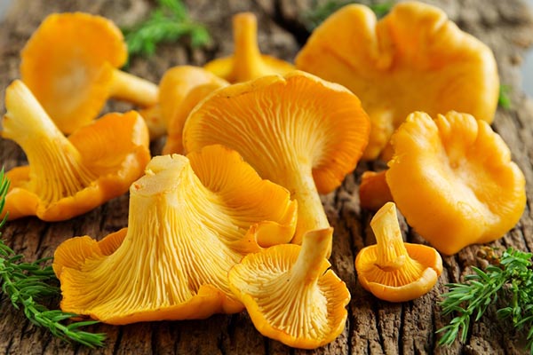 жареный картофель с лисичками