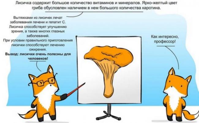 Польза лисичек