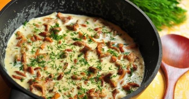 Лисички, жаренные в сливках - рецепты с луком, картофелем, курицей, свининой и говядиной