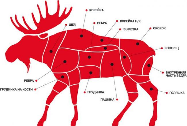 Схема разруба лося Лось и разделка