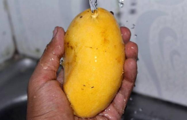Промывание манго под проточной водой Манго и вода