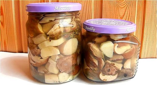 Хрустящие маринованные белые грибы на зиму