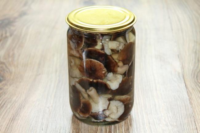 Маринованные рядовки на зиму - пошаговый рецепт с фото на Повар.ру