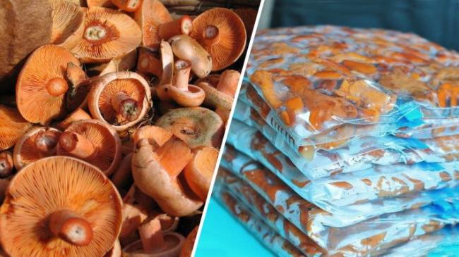 Ягоды ежевики на зиму: рецепты, заготовка, сбор урожая