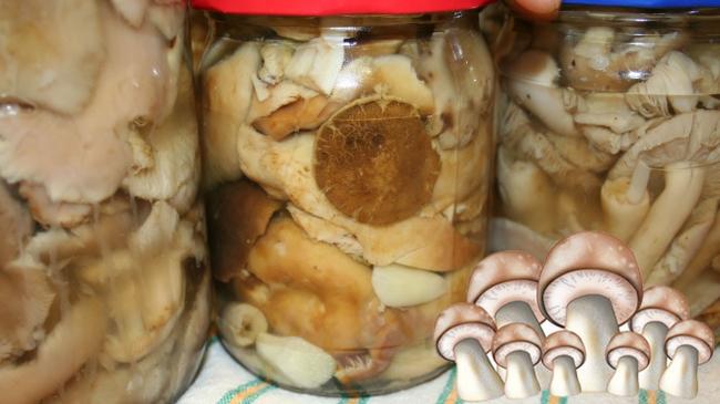 Сколько и как хранить маринованные грибы в домашних условиях