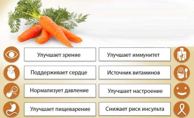 Польза моркови для здоровья Морковь и польза
