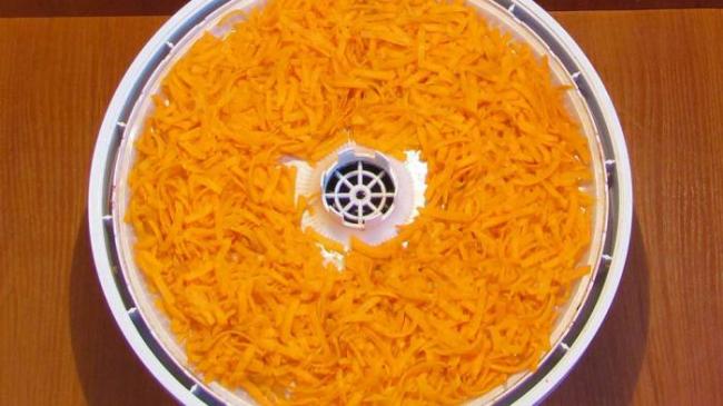 Выкладывание моркови на поддон электросушилки Морковь в сушилке