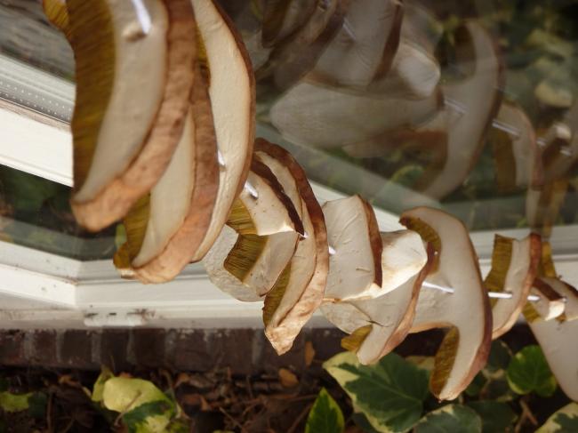 Сушка грибов на улице Нарезанные грибы сушатся на солнце