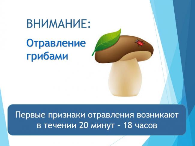 Предупреждение: отравление грибами