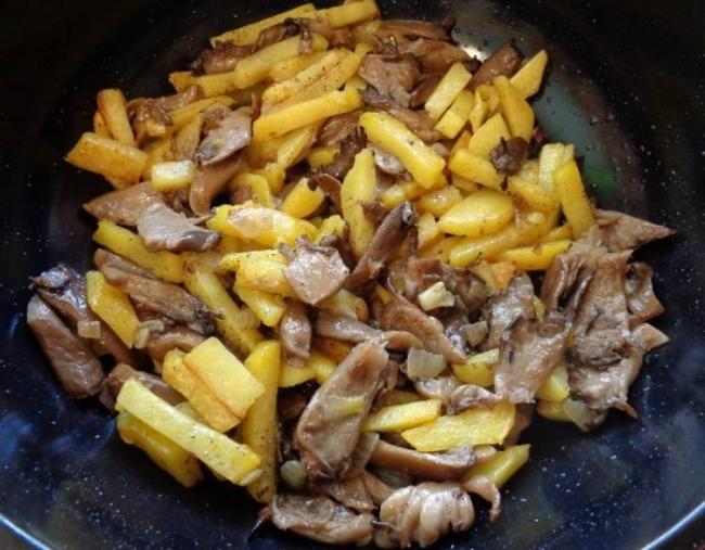 Можно ли вешенки жарить не отваривая