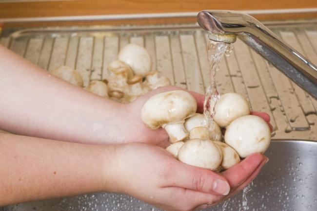 Что можно сделать с шампиньонами на зиму
