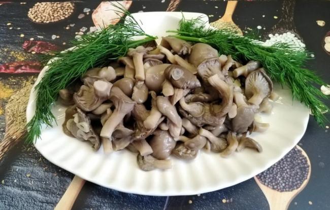Как быстро и вкусно посолить вешенки в домашних условиях в кастрюле
