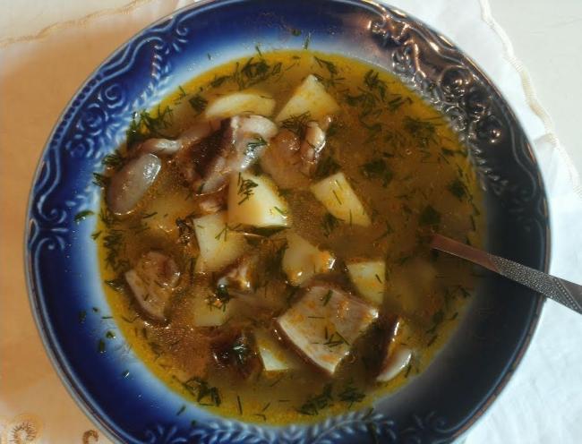 Как варить вкусную грибовницу из свежих белых грибов