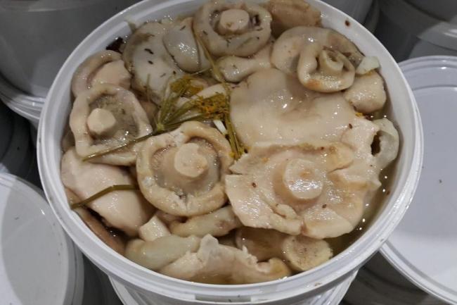 Простые и вкусные рецепты маринованных волнушек