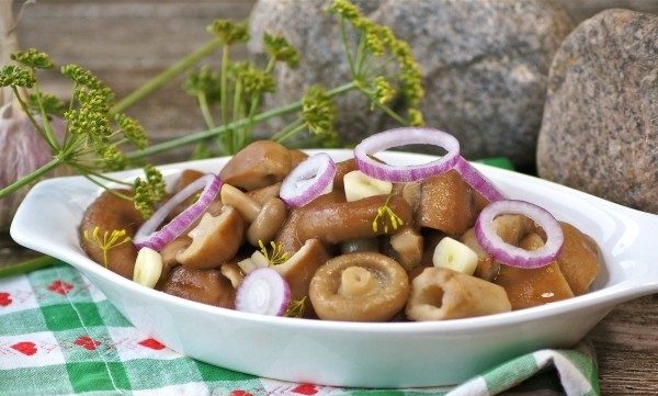 Простые и вкусные рецепты маринованных волнушек