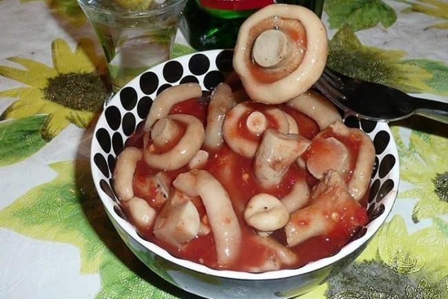 Простые и вкусные рецепты маринованных волнушек