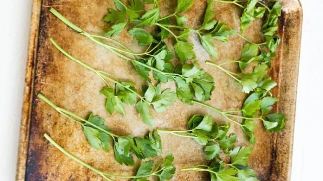 Распределение петрушки на противне Петрушка на противне
