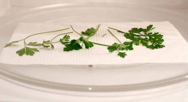 Сушка петрушки в микроволновой печи Петрушка в СВЧ