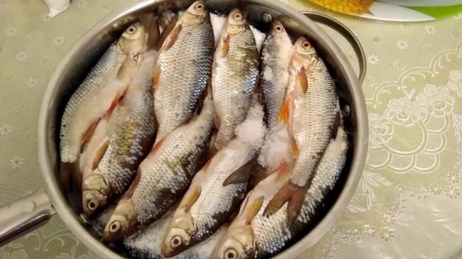 Сухой посол плотвы  Плотва и соль