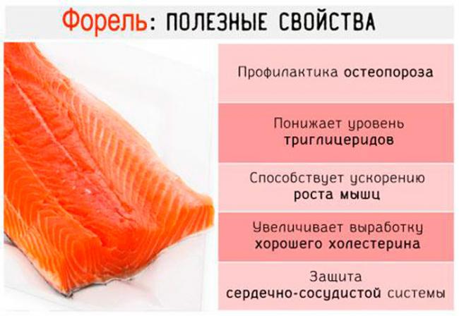 Полезные свойства форели Полезные свойства