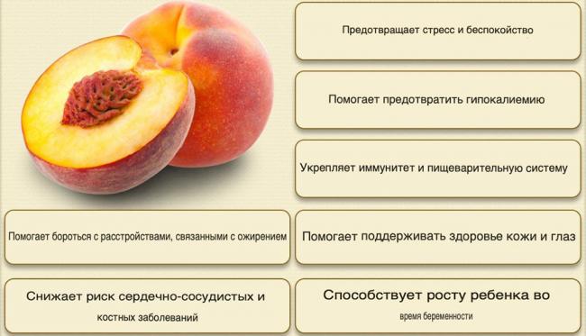 Полезные свойства персиков Польза персиков для человека