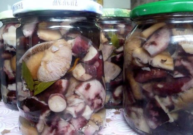 Рецепт маринования черной косули с фруктовыми листьями и чесноком