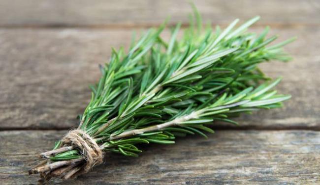 Веточки розмарина для приготовления шашлыка Розмарин вместо шпажек