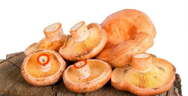 Самый характерный продукт Пермского края - сухари |