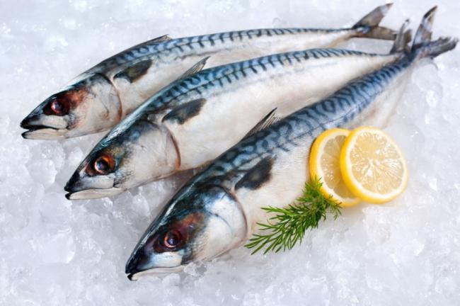Свежая скумбрия на подушке изо льда Свежая скумбрия лежит на подушке изо льда с долькой лимона