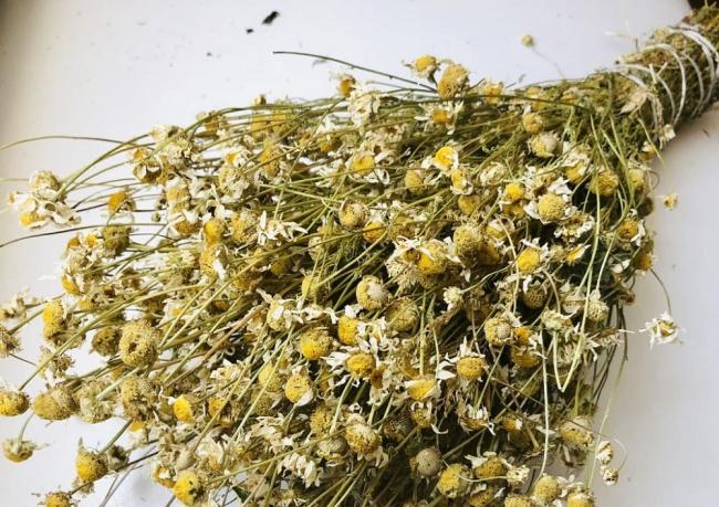 Сушеная ромашка в связке Связка сушеной ромашки