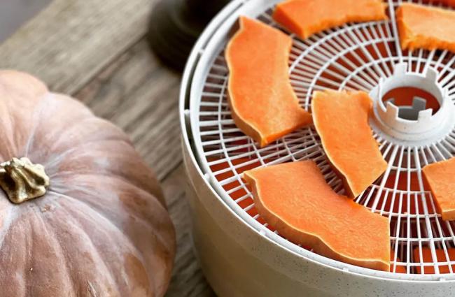 Вяление тыквы в электросушилке Тыква в электросушилке