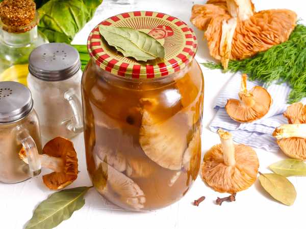 Маринованные кочанчики - пошаговый рецепт. Как замариновать ягоды на зиму?