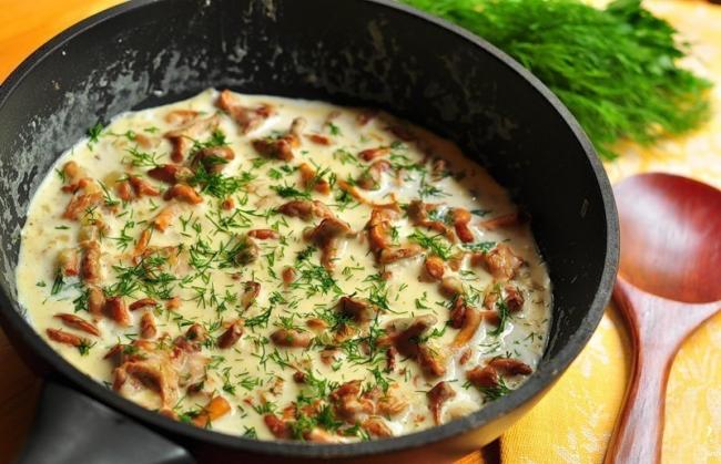 15 самых вкусных рецептов грибной подливы с лисичками