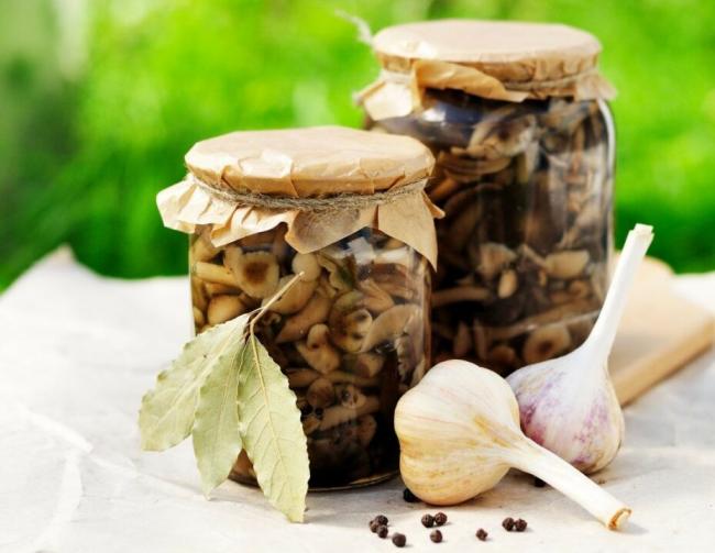 Консервированные грибы в банках на зиму: 15 простых и вкусных рецептов с фотографиями и пошаговыми инструкциями.