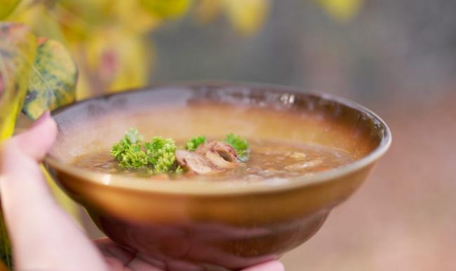 Как варить вкусную грибовницу из свежих белых грибов