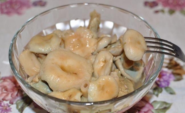 Простые и вкусные рецепты маринованных волнушек