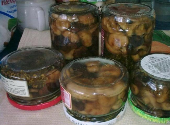 Как солить волнушки в домашних условиях