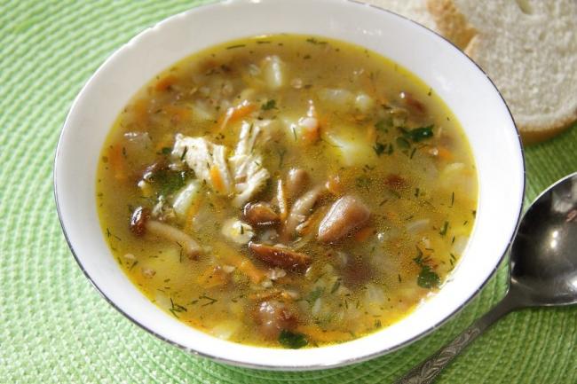 12 лучших рецептов грибного супа на мясном бульоне