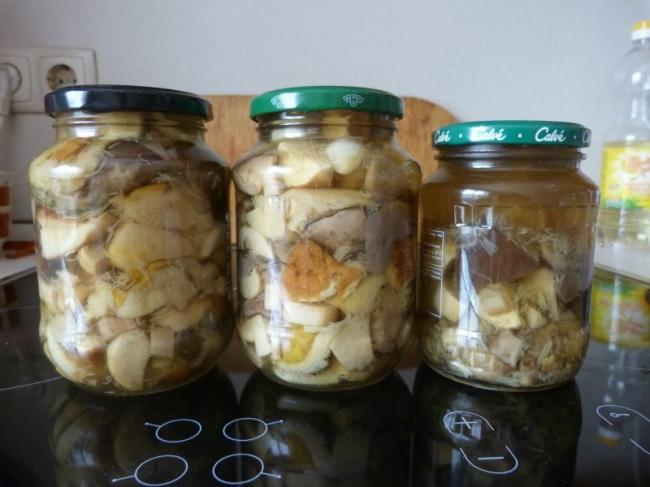 Как вкусно и быстро приготовить сыроежки после сбора на зиму