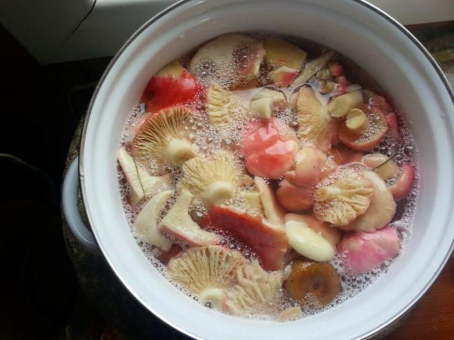 Как вкусно и быстро приготовить сыроежки после сбора на зиму
