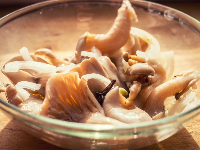 Как вкусно и быстро приготовить сыроежки после сбора на зиму
