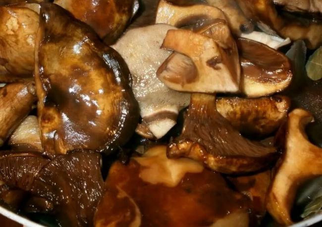 Как вкусно и быстро приготовить сыроежки после сбора на зиму