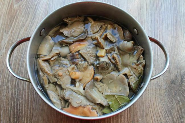 Как вкусно и быстро приготовить сыроежки после сбора на зиму