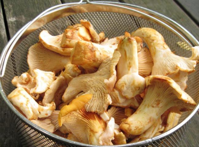 Как быстро и вкусно приготовить замороженные лисички