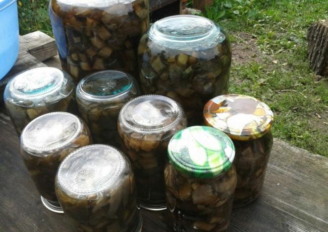 ТОП-12 рецептов засолки черных груздей