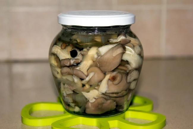 Как быстро и вкусно засолить вешенки в домашних условиях